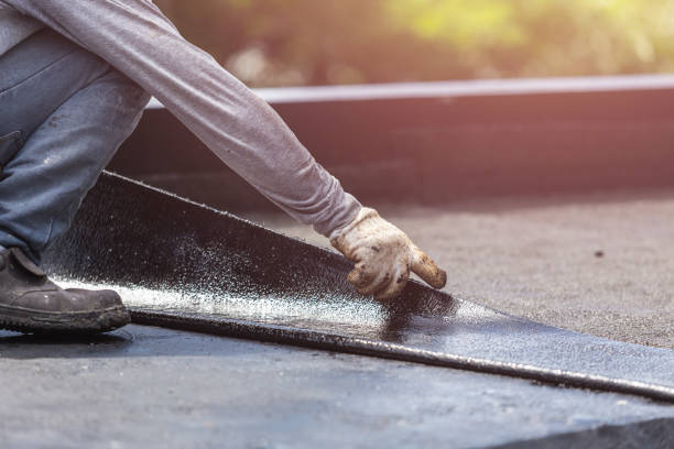 Professional Interior Drainage System technician working in Bergen, NY